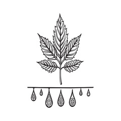 Natural herbal neem oil essence outline illustration.eps