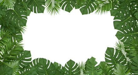 Lush vibrant green tropical foliage, palm fronds and monstera leaves with intricate textures, forming an organic frame on a transparent studio background with copy space, high-end botanical product