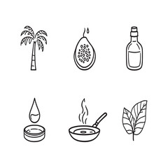 organic palm oil and palm tree vector line drawing.eps