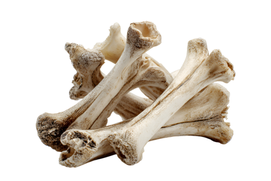 Animal Bones Pile Isolated Black Background