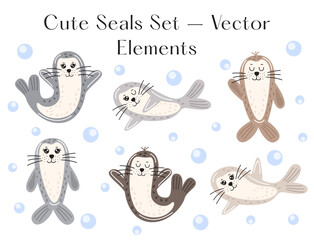 Illustration of cute seals on a white background.
