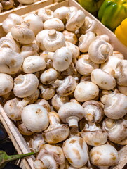 Fresh white mushrooms displayed in a wooden crate at a local market surrounded by colorful vegetables in autumn