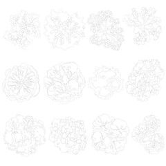 top view trees, cad outlined set of trees	

