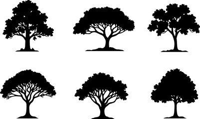 Fototapeta premium Majestic Tree Silhouette Collection – 7 Elegant Nature Designs vector bundle