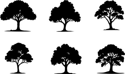 Fototapeta premium Majestic Tree Silhouette Collection – 7 Elegant Nature Designs vector bundle