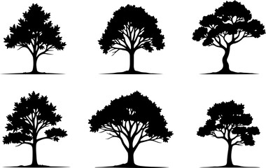 Fototapeta premium Majestic Tree Silhouette Collection – 7 Elegant Nature Designs