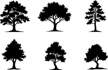 Fototapeta premium Majestic Tree Silhouette Collection – 7 Elegant Nature Designs