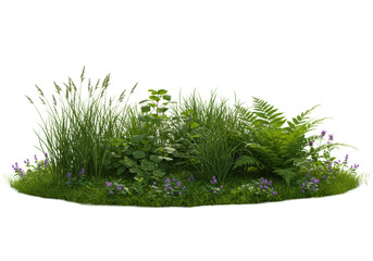 Lush green vegetation with tall grasses, dense foliage, and intricate ferns next to a clear water pool and purple flowers, isolated on a transparent background with copy space, concept for