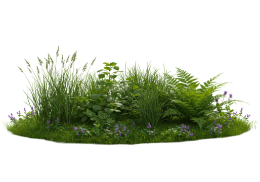 Lush green vegetation with tall grasses, dense foliage, and intricate ferns next to a clear water pool and purple flowers, isolated on a transparent background with copy space, concept for