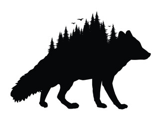 Wild fox silhouette with coniferous forest.
