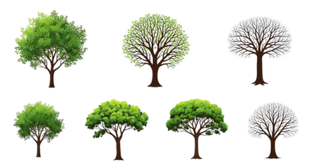 Collection of diverse trees with varying foliage density and detail levels isolated on transparent background