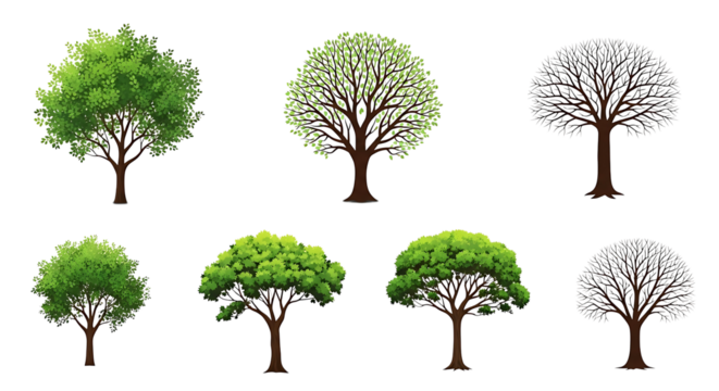 Collection of diverse trees with varying foliage density and detail levels isolated on transparent background