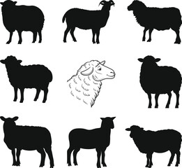 Sheep silhouette icon vector. Farm sheep, glyph, solid icon. Livestock concept. Sheep and Goat Silhouettes Collection, Sheep SVG