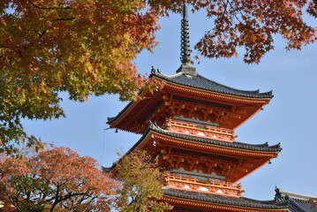 清水寺　モミジに包まれる三重塔(京都市東山区)