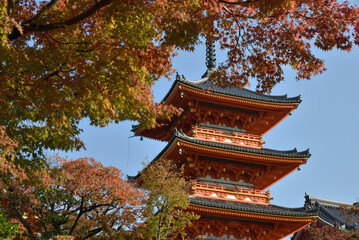 清水寺　モミジに包まれる三重塔(京都市東山区)