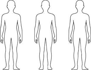 detailed front and back body outlines vector for medical diagrams fitness apps and clinical education materials
