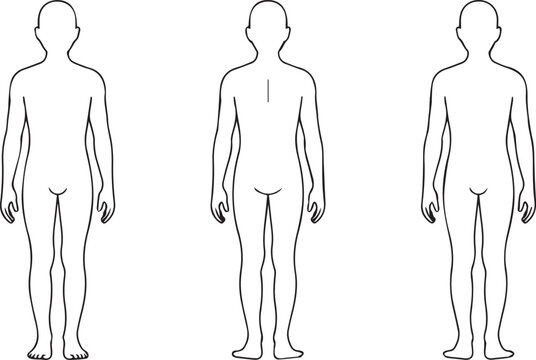 universal human anatomy outline vector for science research ebooks diagnostic charts and professional healthcare graphics