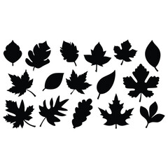 set of autumn leaves silhouette vector