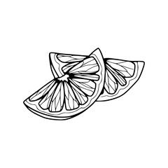 detailed citrus slices line art drawing