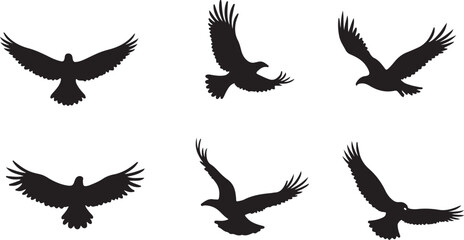 Obraz premium Majestic Birds in Flight Silhouette Graphic Pack