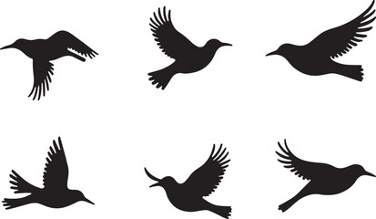 Obraz premium Majestic Birds in Flight Silhouette Graphic Pack
