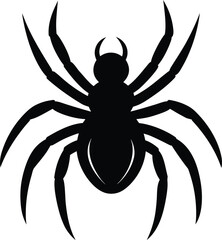 Spider Silhouette