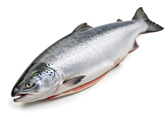 Naklejka premium Fresh Atlantic Salmon Fish on White Background for Seafood Market and Culinary Use