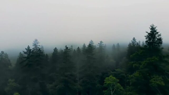 fog in the mountains generate vo 2