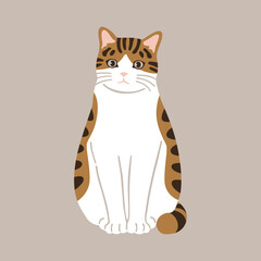 vector illustration of a cat
