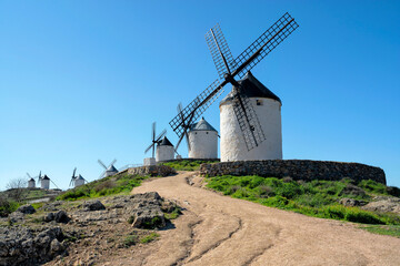 Fototapeta premium Spain. Andalusia. Famous windmills in Consuegra. Castilla la mancha 