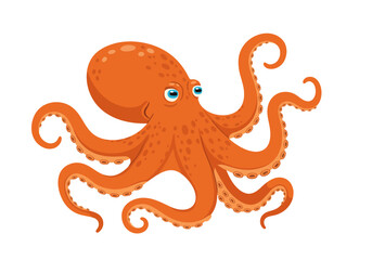 A Vibrant Orange Octopus with Eight Tentacles and Big Blue Eyes Captures the Underwater World with its Graceful Movement and Intelligent Gaze