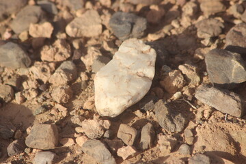 A close up of a white stone on the ground
