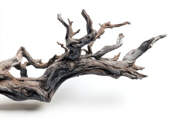 Weathered Driftwood Branch Isolated on White Background Detailed Texture Natural Design Element Artistic Composition