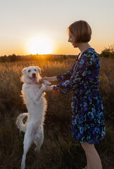 Woman and happy white dog standing on hind legs at sunset meadow. Fun walks with pet in nature. Human-animal interaction. Soft focus