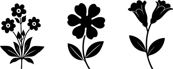 "Minimalist Wildflower Trio"