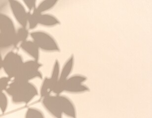 Soft Beige Wall Background Featuring Abstract Shadows of Dried Leaves Cast by Warm