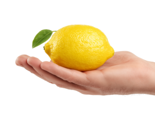 A singular, vibrant lemon, cradled gently within the open palm of a hand