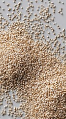 Fototapeta premium Raw Quinoa Grains Spread on Neutral Background for Cooking Use