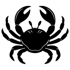 crab isolated on white background