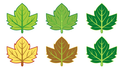 Fototapeta premium Collection of stylized maple leaves in different colors