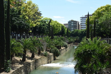river in the park