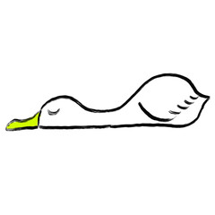 Cute Duck Character Illustration - Transparent PNG