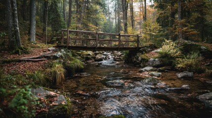 Wooden Bridge Crossing a Stream in the Middle of an Autumn Forest