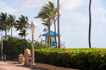 Fototapete Palme Keating Beach - Florida  © Guenther Marten