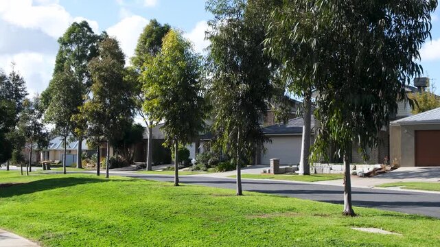 Residential street lined with native Australian eucalyptus trees (gum trees) and well-maintained nature strip. Concept of urban cooling and biodiversity in a suburban neighborhood. Tarneit, Melbourne.