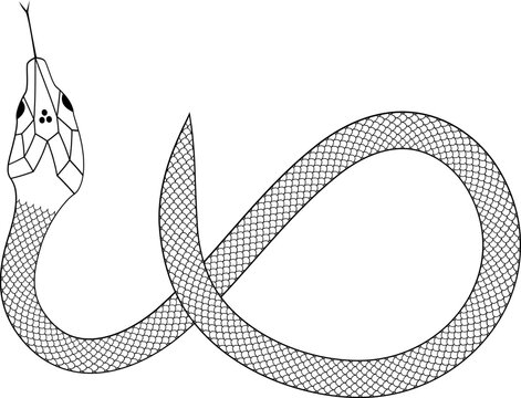 Snake with scales outline vector illustration 