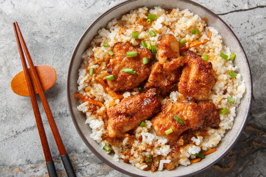 Tori meshi Japanese tradition food chicken and rice closeup in the bowl on the table. Horizontal top view from above