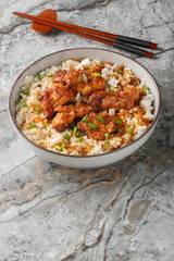 Rice with Chicken and Burdock Tori Meshi closeup in the bowl on the table. Vertical
