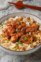 Torimeshi or Chicken rice Okayama-style closeup in the bowl on the table. Vertical