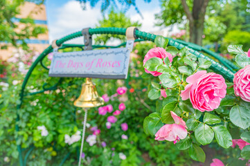 北海道　札幌市　バラ園